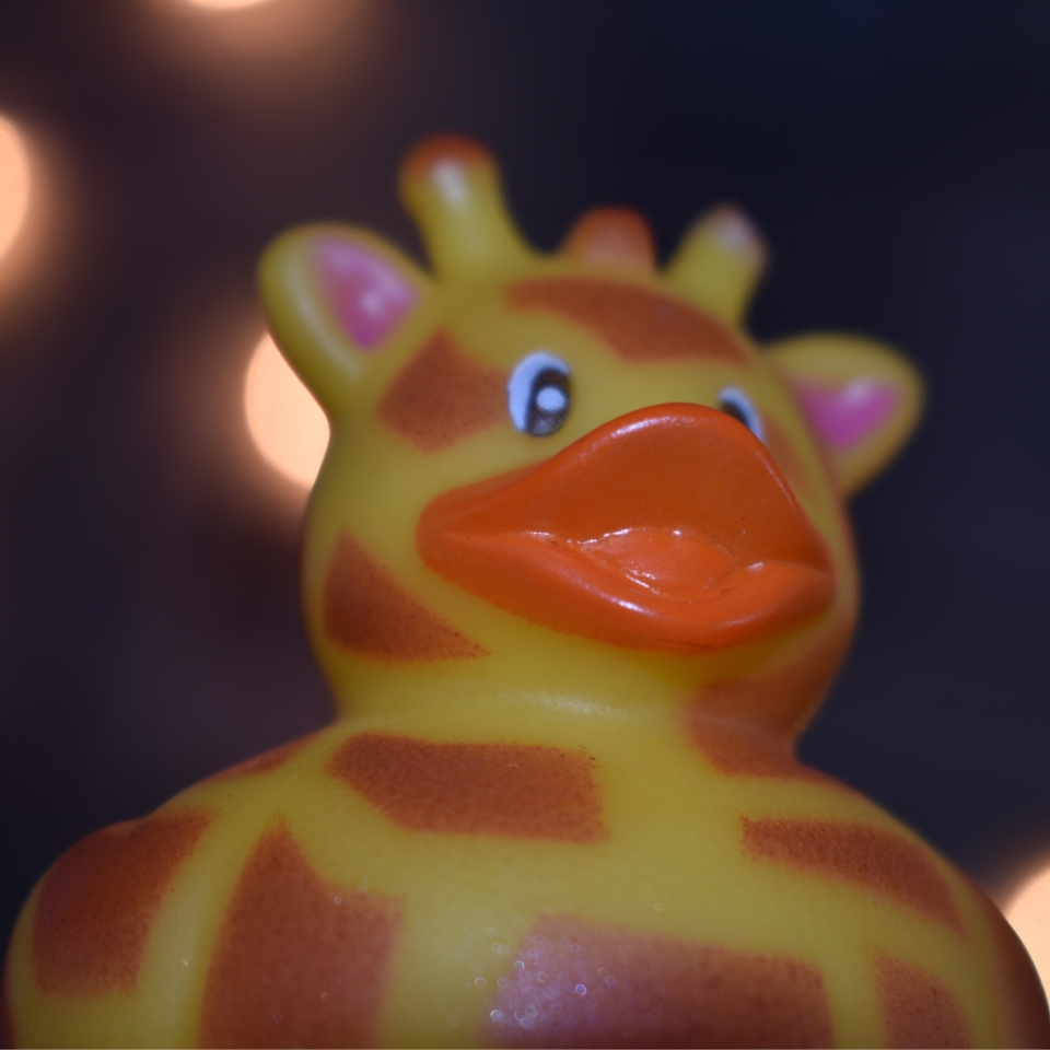 MorganWatsonBokeh_22